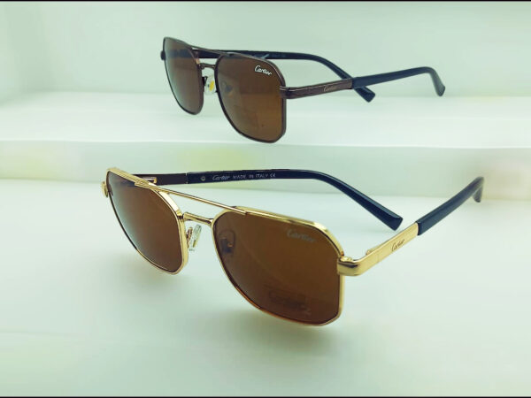 Cartier - 28753 - Golden Orange -Black Orange - metal Eyewear